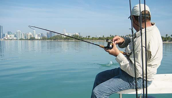 Có những hoạt động giải trí đơn giản