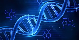 DNA của con người dài gấp 600 lần khoảng cách từ Mặt Trời tới Trái Đất