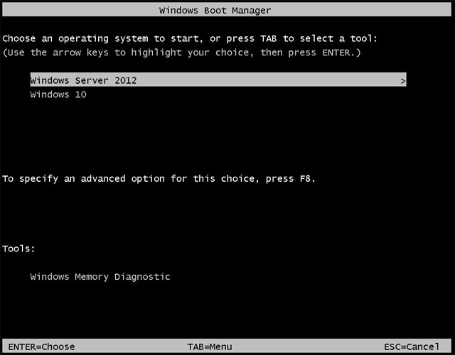 Chọn hệ điều hành thứ hai cho đến khi quá trình cài đặt kết thúc