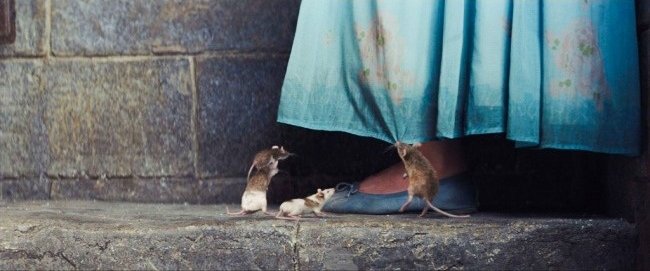 Cô bé Lọ Lem chiếu rạp