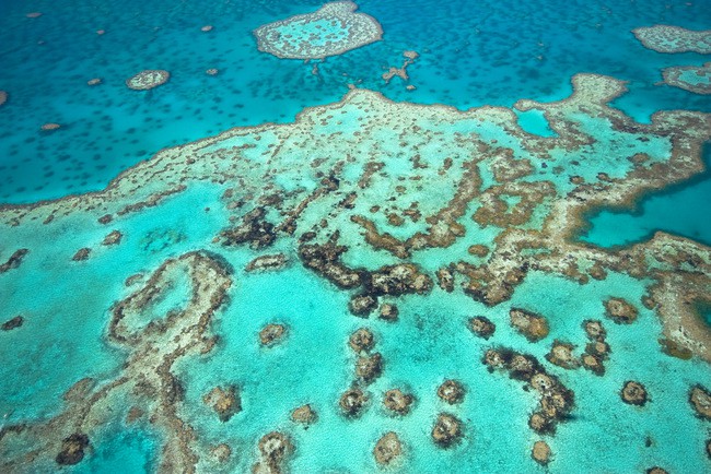 Rạn san hô Great Barrier