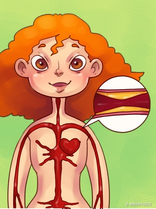 Giảm 1/3 mức độ cholesterol trong máu