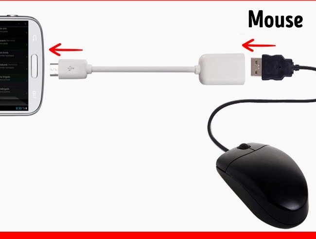 Bàn phím và chuột