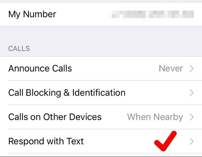 Chọn Trả lời bằng văn bản (Respond with Text)