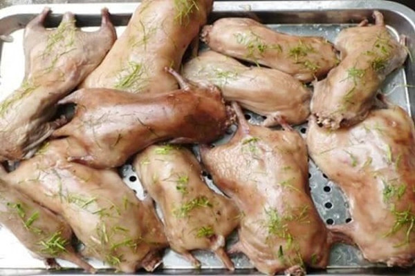 Người tiêu dùng không nên ăn nếu không chắc chắn đó là thịt chuột đồng khỏe mạnh
