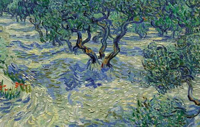 Bức "Olive tree" (Những cây olive)