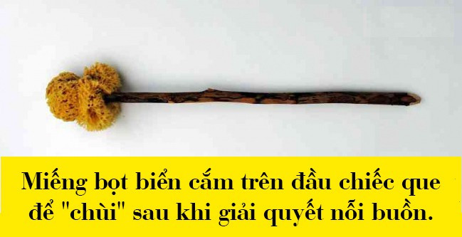 Sau khi “giải quyết nỗi buồn” dùng miếng bọt biển cắm trên đầu chiếc que để chùi 