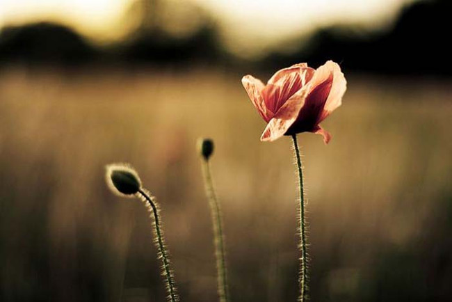 Những câu chuyện ý nghĩa