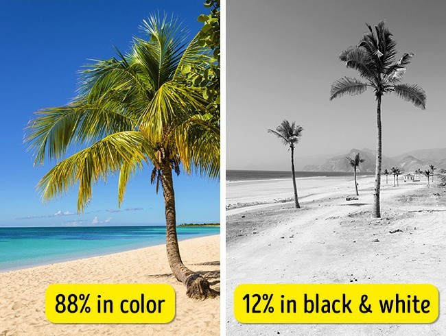 Giấc mơ của con người