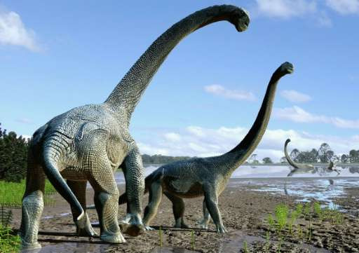 Loài khủng long ăn cỏ lớn nhất - Titanosaurus