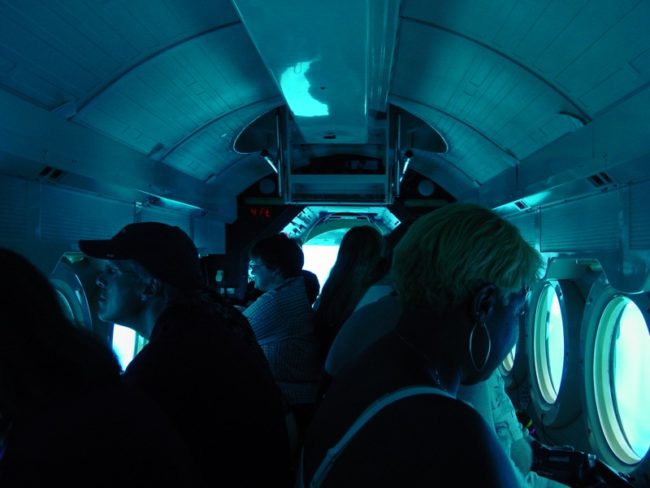 Cây cối không quang hợp