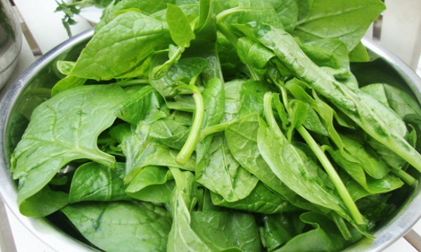 Rau mồng tơi giúp thanh nhiệt, giải độc 