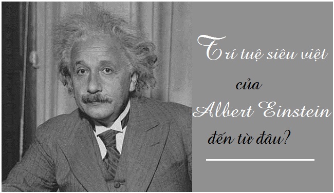 Điều gì khiến bộ não Einstein siêu việt hơn phần còn lại của nhân loại