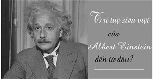 Những bí ẩn đằng sau bộ não bị đánh cắp của thiên tài Albert Einstein