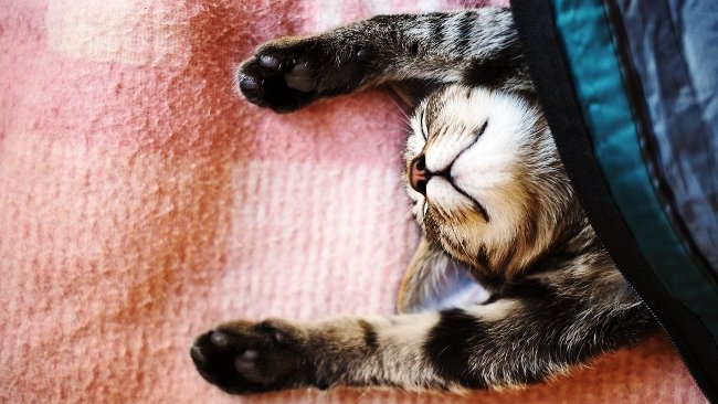 Cân bằng công việc hàng ngày