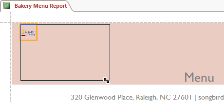 Điều chỉnh kích thước của logo trong báo cáo