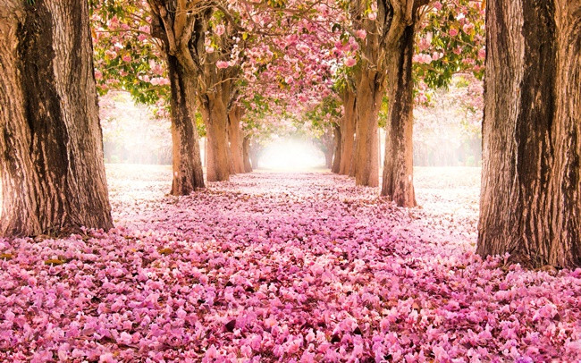 Những câu danh ngôn hay 