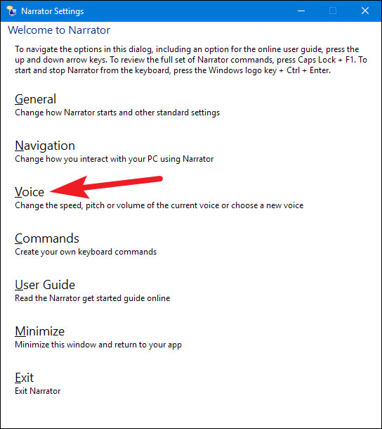Nhấp vào tùy chọn Voice Settings