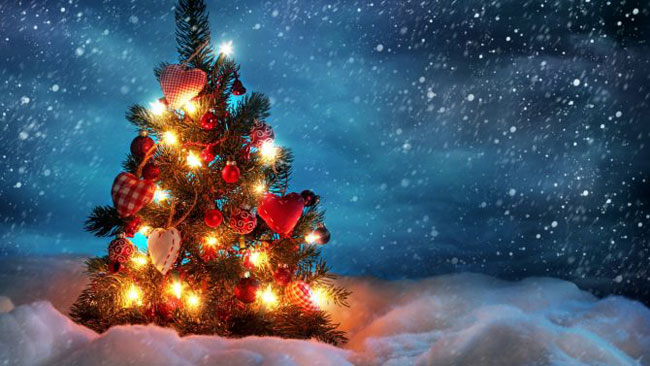 Giáng Sinh đang đến gần và bạn đang tìm kiếm một theme Giáng Sinh để tưởng nhớ và chào đón mùa lễ hội này? Những chủ đề cực kỳ độc đáo và sáng tạo sẽ đem lại cho bạn sự thăng hoa trong mùa đông lạnh giá này với những hình ảnh hoàn hảo để thay đổi giao diện của bạn.