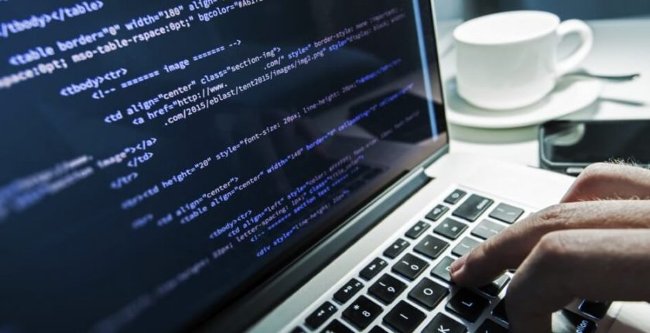 Đến San Francisco để tìm kiếm công việc thực sự đầu tiên