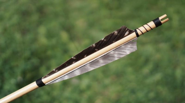 Vũ khí 4000 năm tuổi, hộp ăn trưa được phát hiện ở Thụy Sĩ