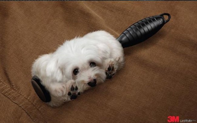 Chổi quét lông vật nuôi 3M