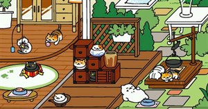 Cách chơi game Neko Atsume: Kitty Collector để thu thập hết các loại mèo