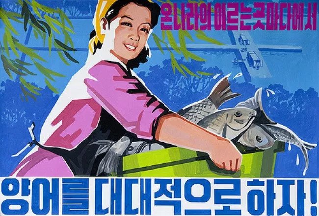 “Chúng ta hãy thực hiện nuôi cá quy mô lớn trên khắp cả nước!”