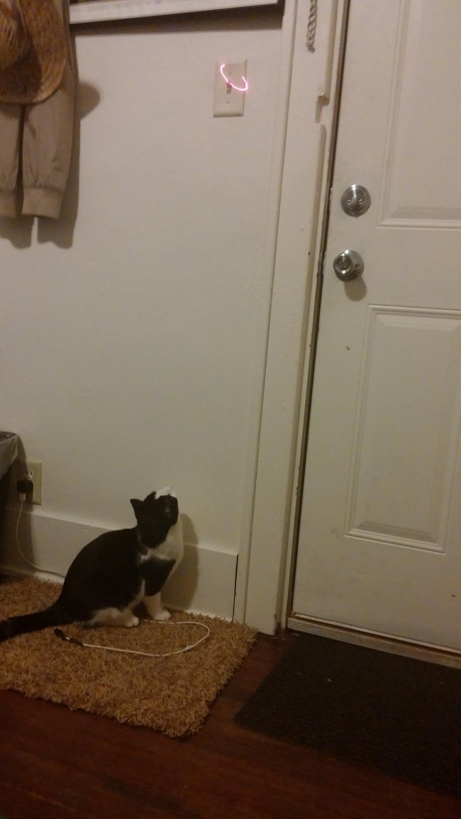 Khi bạn quá lười để tự bật đèn.