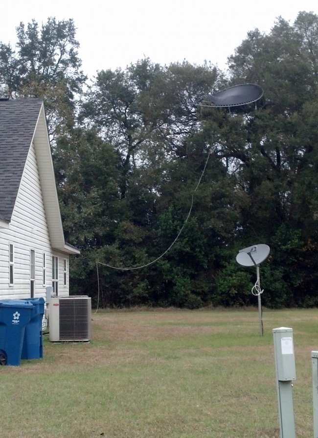 Làm thế nào để bạt nhún Trampoline thoát ra khỏi cái cây?