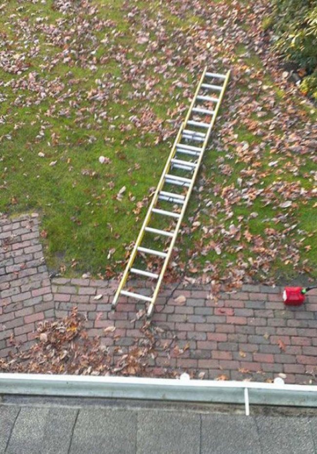 "Treo đèn Giáng sinh xong thì mắc kẹt trên mái nhà. Thật trớ trêu!"