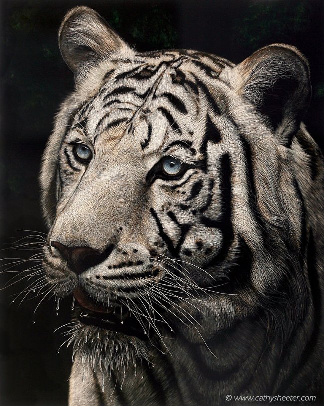 "The Interrupted Drink" - tác phẩm đã hoàn thành