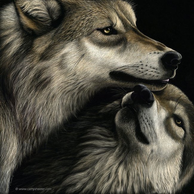 “Family Reunion - Đoàn tụ”