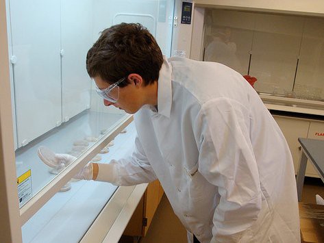 Giám đốc danh mục gen 