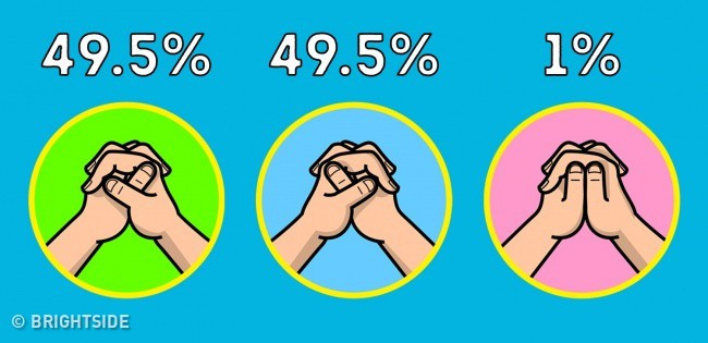 Cách nắm tay bật mí cho bạn biết về hoạt động của hai bán cầu não