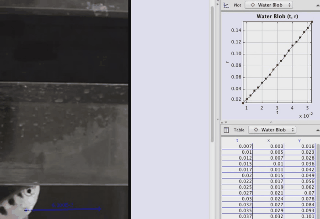 Cá cung thủ còn tính toán được ảnh hưởng của trọng lực lên "viên đạn" nước