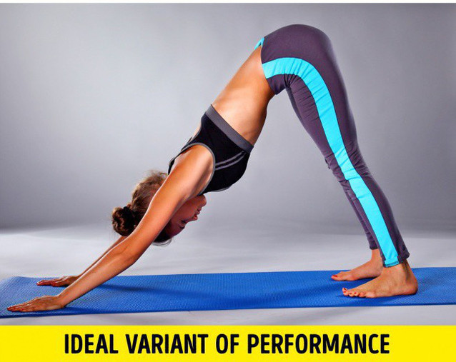 Đây cùng là cách để kiểm tra sự dẻo dai của gối 