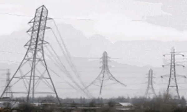 Bức hình gây tranh cãi của tiến sĩ Lisa DeBruine