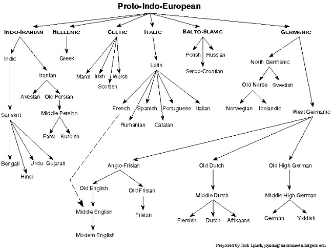Nhánh tiếng Anh trên cây ngôn ngữ thế giới