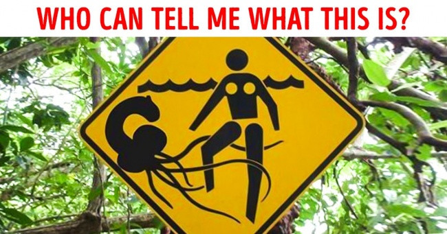 Thật khó có thể tưởng tượng được tôi sẽ bắt gặp thứ gì dưới con sông kia từ hình ảnh này