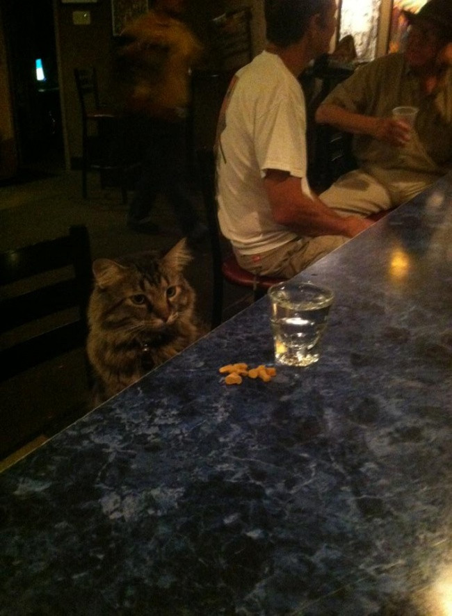 "Cuộc đời thật buồn... Chỉ có hơi men mới khiến ta bình tâm"