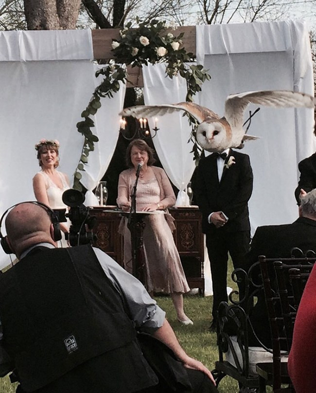 Sao chú rể lạ vậy 