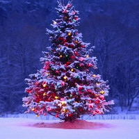 5 địa điểm check in cháy máy với cây thông Noel lớn nhất Hà Nội năm 2017