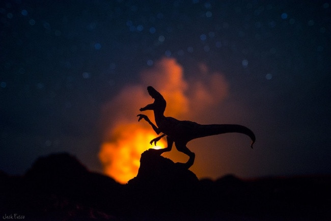 Tôi đã chụp một bức tuyệt vời cho cháu ở Hawaii