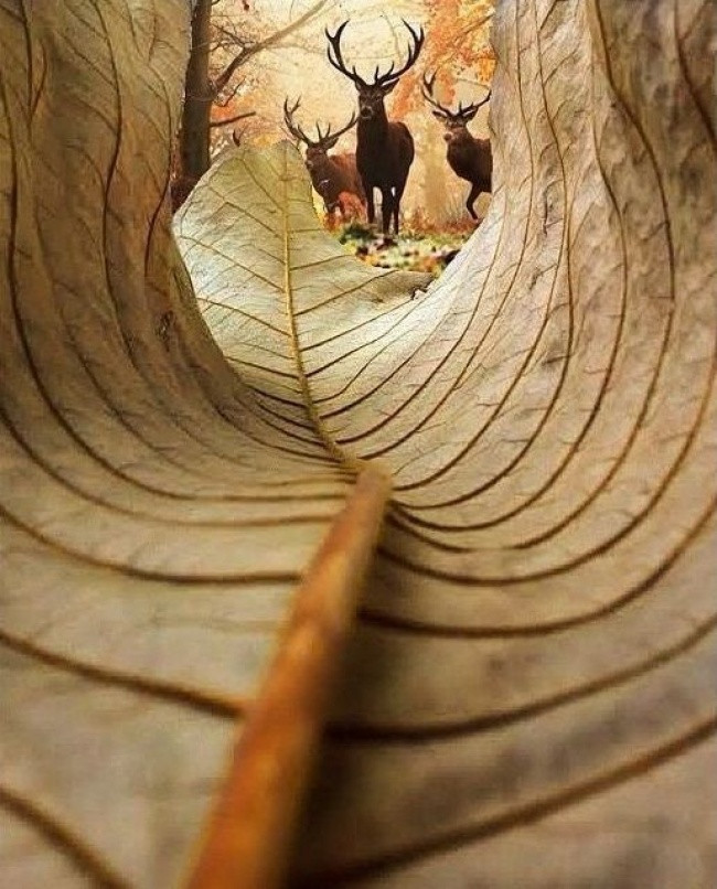 Khi góc chụp làm thay đổi mọi thứ