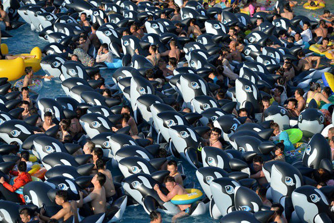 Phao cá heo được người dân ở tỉnh Liêu Ninh, Trung Quốc mang xuống tắm tại một công viên nước trong một ngày nóng nực