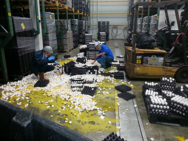 Đây cũng là một ngày tồi tệ để làm trứng chiên