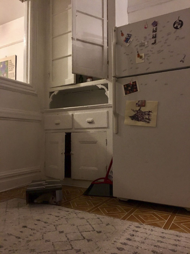 Thử tài đoán mèo đi nào!