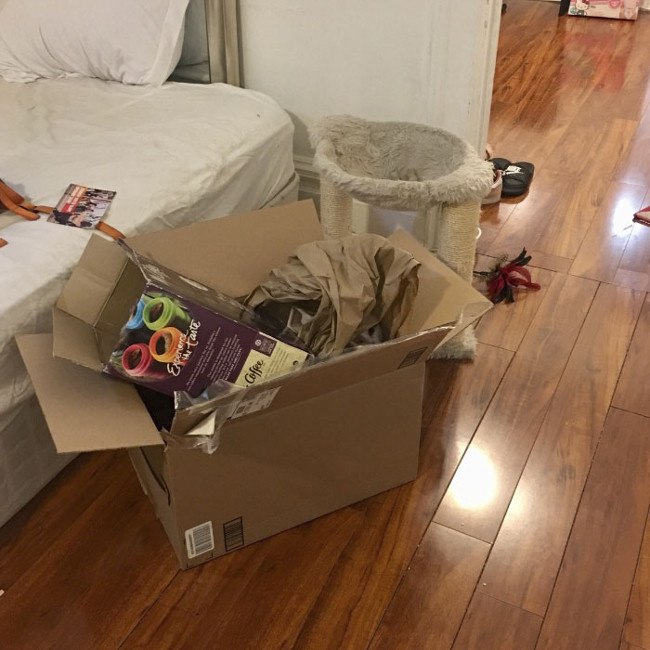 Nếu bạn chưa tìm ra, hãy kiên nhẫn vì cô ta đang núp trong thùng ấy!