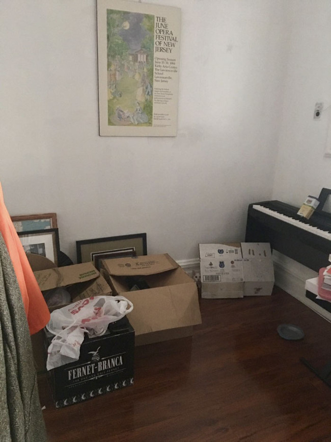 Đố bạn biết cô nàng mèo đang ở đâu? Ngay trong chiếc hộp trên sàn nhà chứ đâu nữa